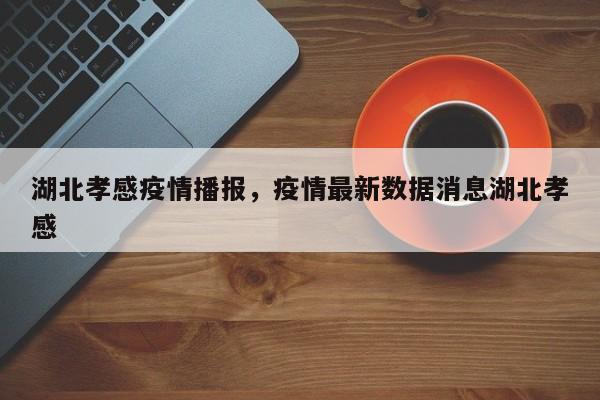 湖北孝感疫情播报，疫情最新数据消息湖北孝感-第1张图片-3721新闻